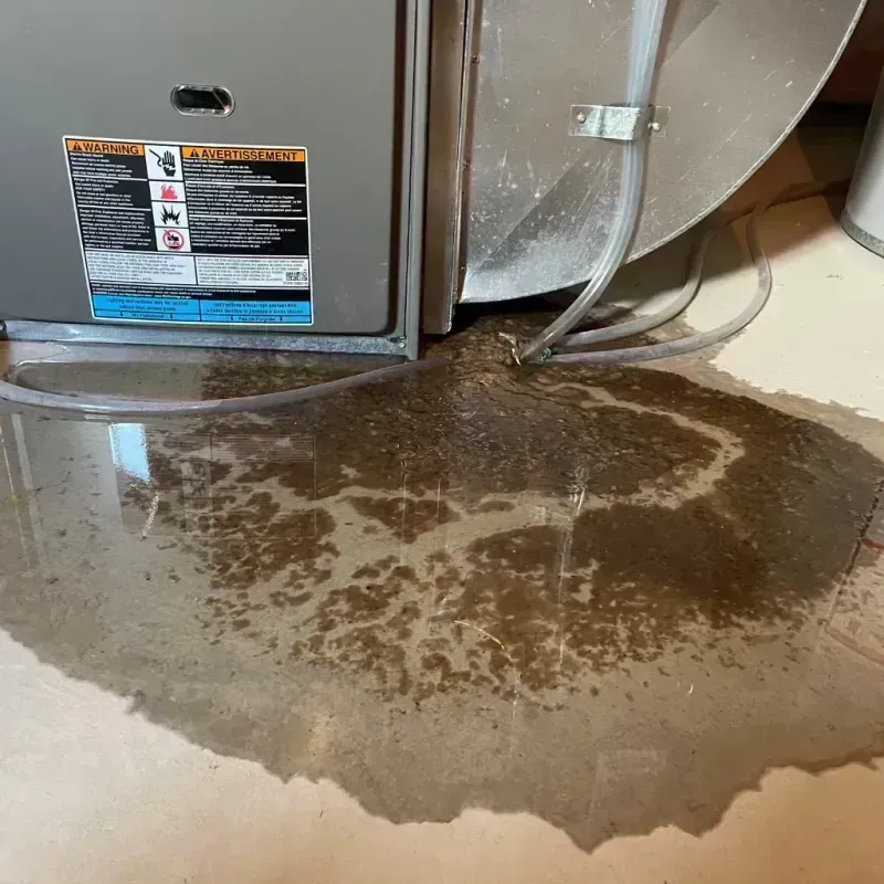 Appliance Leak Cleanup in Mayfield Heights, OH